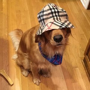 Meet your Posher, Evan